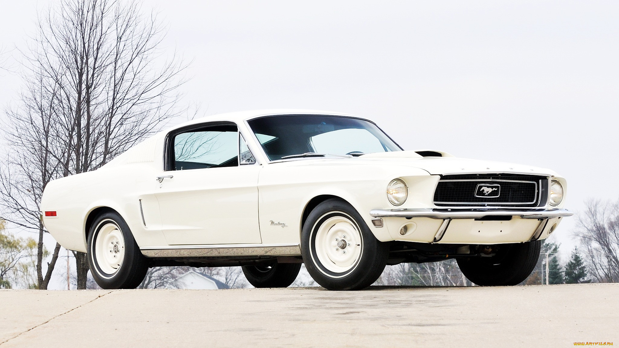 mustang, , ford, motor, company, 